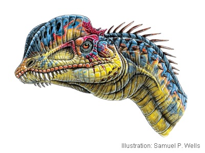 Dilophosaurus